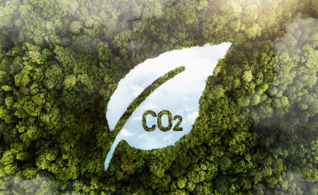 Carbon Mitigation Project Consultant 1 Carbon Mitigation Project Consultant